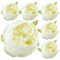 Peonie Piwonie Ecru Główki Kwiatowe Do Kompozycji Do Bukietu 6szt 8cm