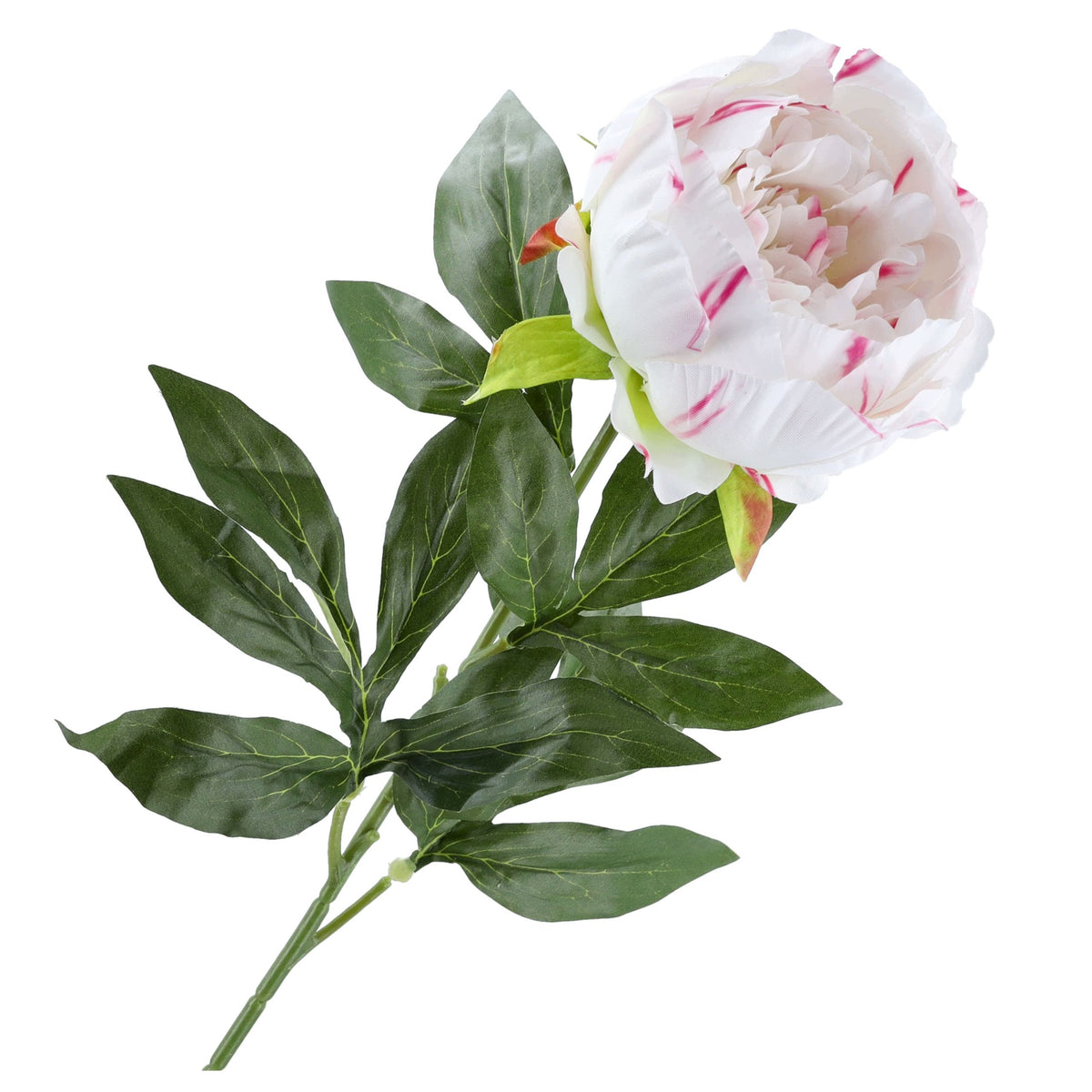 Gałązka Peonia Biały Dodatek Amarant 78cm Kwiaty Sztuczne Jak Żywe Główka
