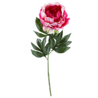 Gałązka Peonia Amarant Krem 80cm Kwiaty SZTUCZNE Jak Żywe Wazon Bukiet