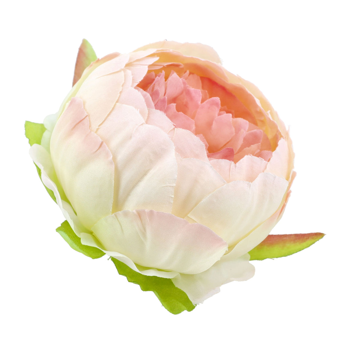 Peonie Piwonie Krem-Łosoś Dekoracyjne Główki Kwiatowe 6szt 8cm Krem-Łosoś
