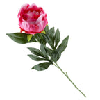 Gałązka Peonia Intensywny Róż Krem 78cm Kwiaty Sztuczne Jak Żywe Bukiet
