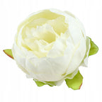 Peonie Piwonie Ecru Główki Kwiatowe Do Kompozycji Do Bukietu 6szt 8cm