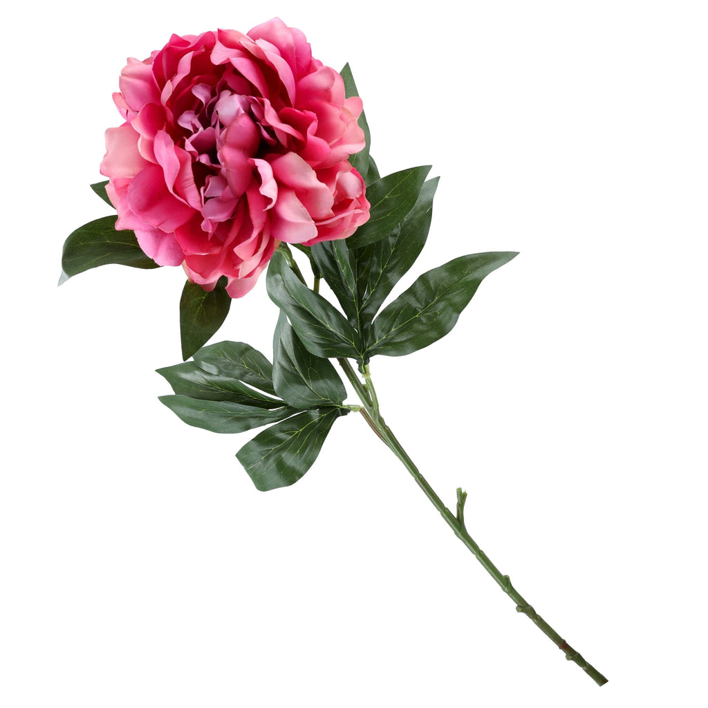 Gałązka Peonia 77cm Ciemny Róż Krem Peonia Piwonia Kwiaty Sztuczne Jak ŻYWE