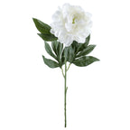 Gałązka Peonia 77cm Biel Piwonia Peonia Kwiaty Sztuczne Jak Żywe Do Wazonu