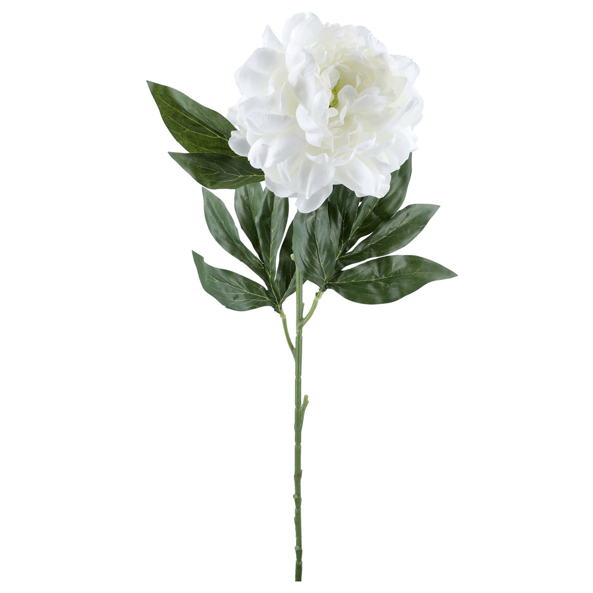 Gałązka Peonia 77cm Biel Piwonia Peonia Kwiaty Sztuczne Jak Żywe Do Wazonu