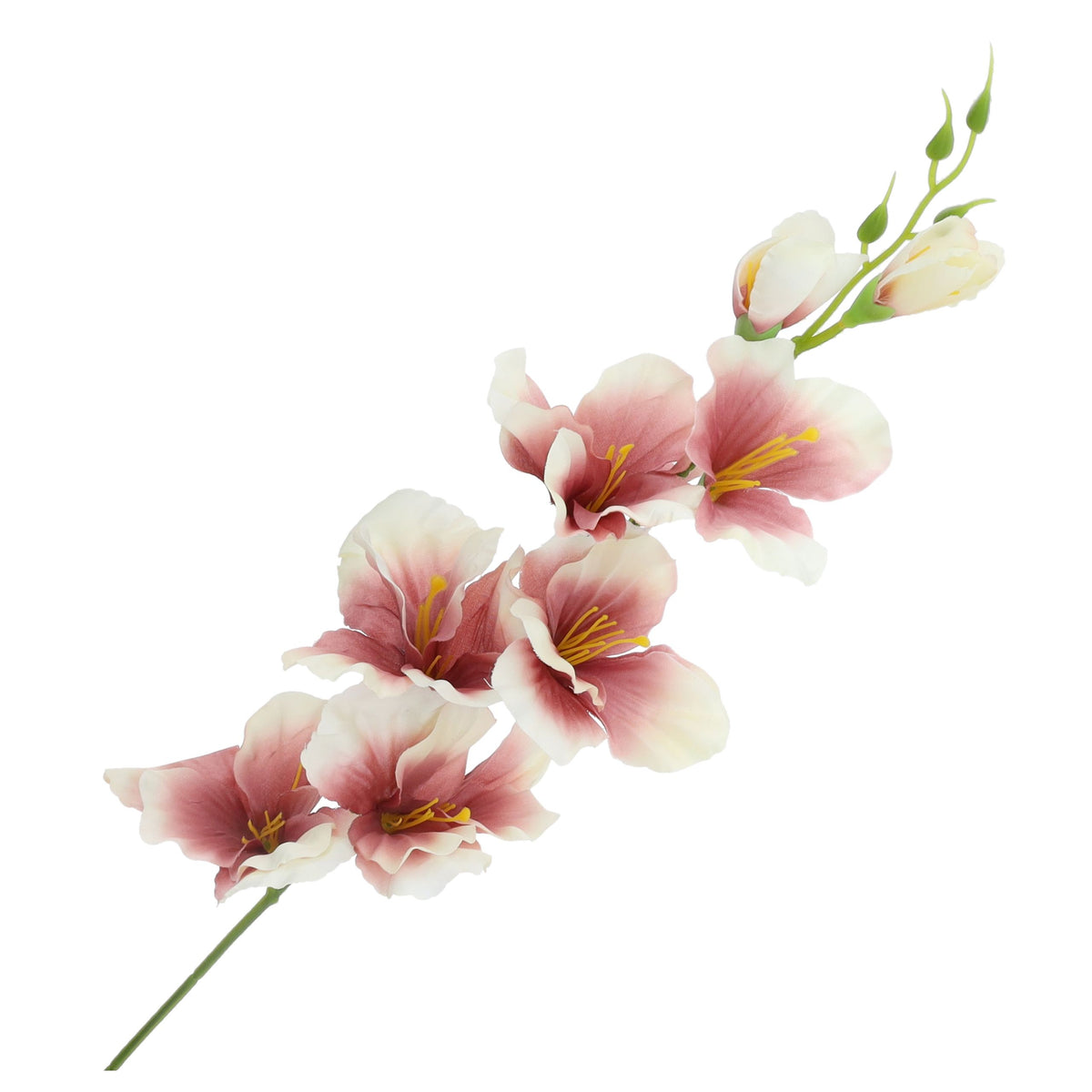 Sztuczna Gałązka Mieczyk krem bordo 63cm Sztuczne Kwiaty Jak Żywe do wazonu