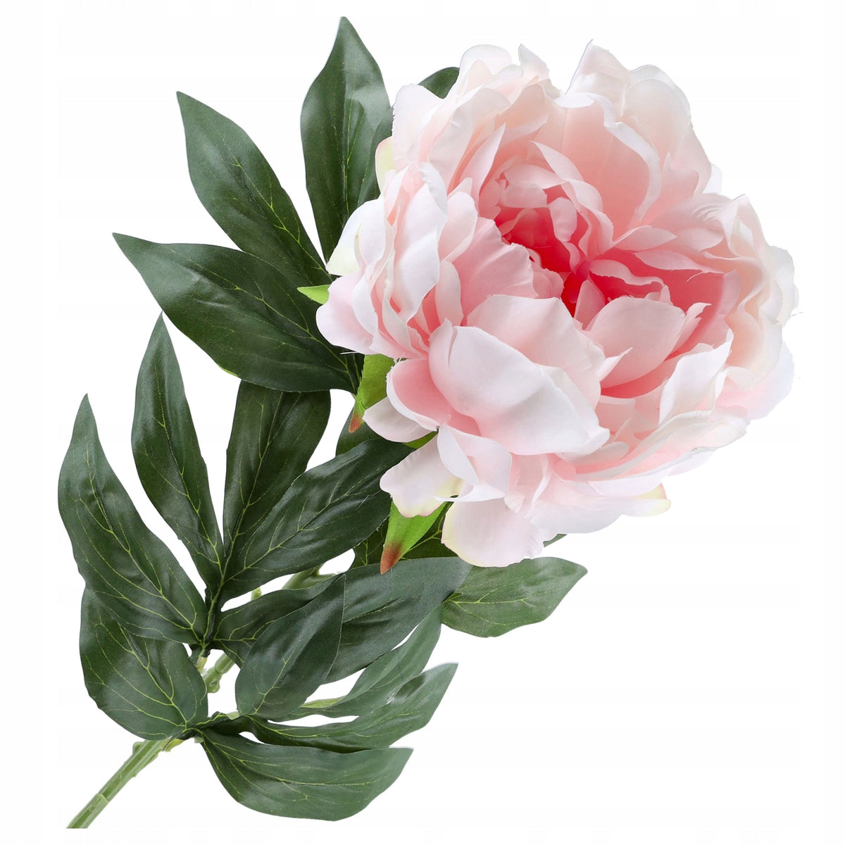 Gałązka Peonia Brzoskwinia 80cm Kwiaty Sztuczne Jak żywe Do Wazonu Bukietu