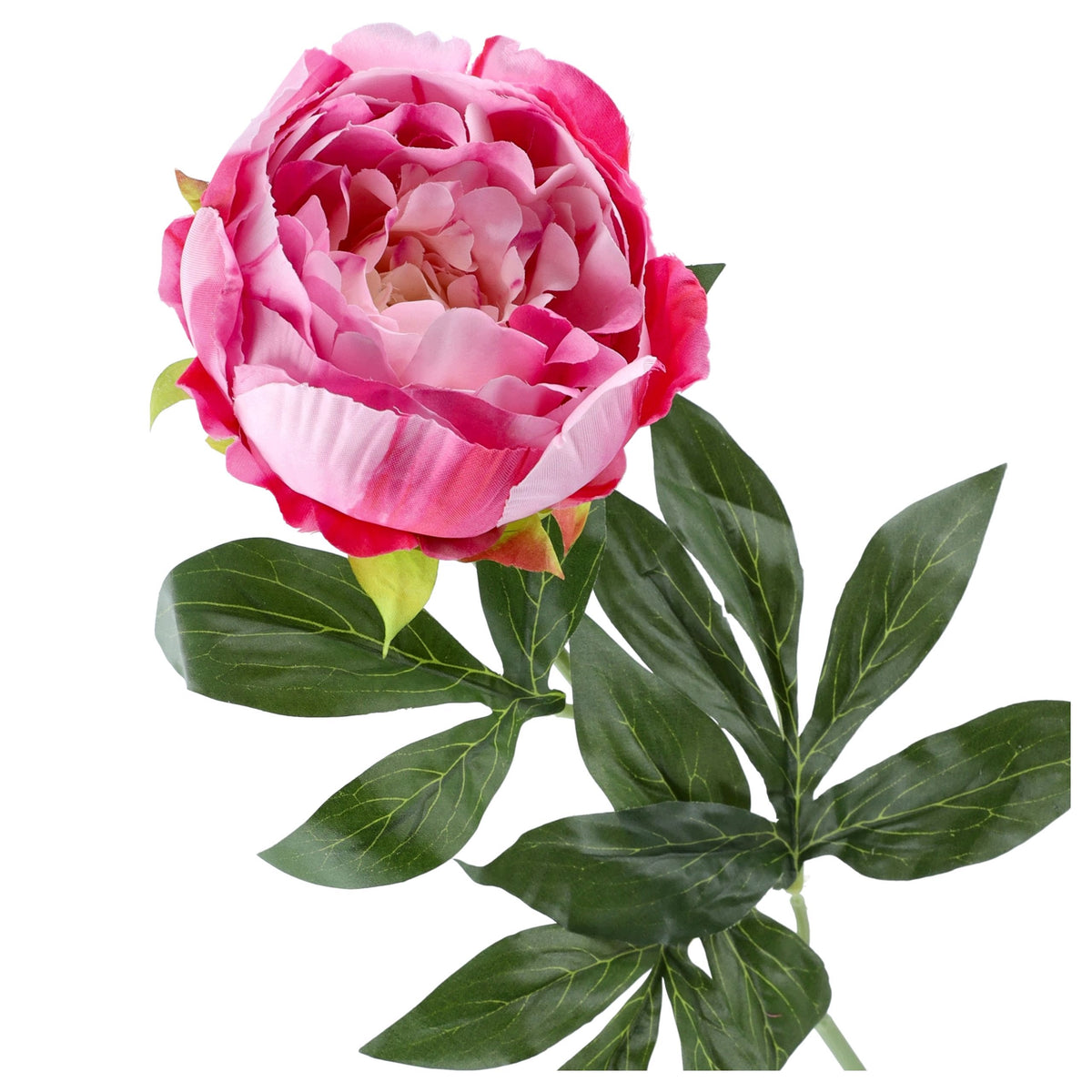 Gałązka Peonia Jasny Róż Krem 78cm PIWONIE SZTUCZNE Kompozycja Stroik