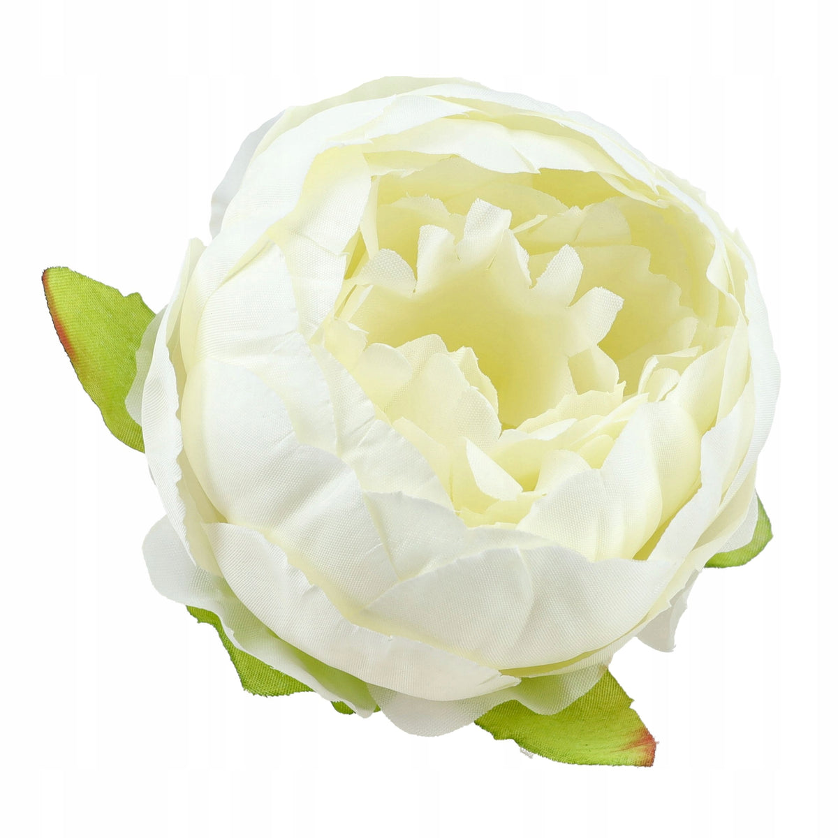 Peonie Piwonie Ecru Główki Kwiatowe Do Kompozycji Do Bukietu 6szt 8cm