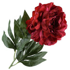 Gałązka Peonia 77cm Bordo Kwiaty Sztuczne Jak Żywe Kompozycja Kwiatowa