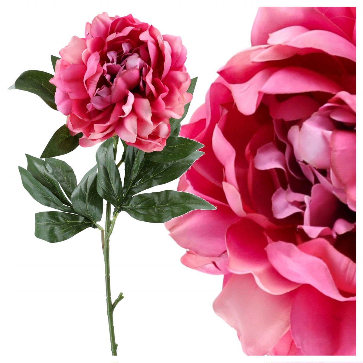 Gałązka Peonia 77cm Ciemny Róż Krem Peonia Piwonia Kwiaty Sztuczne Jak ŻYWE
