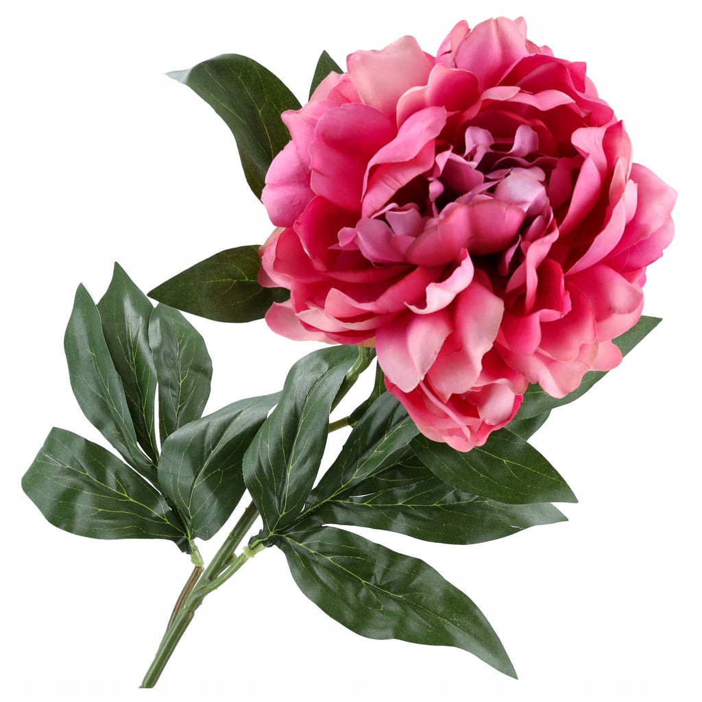 Gałązka Peonia 77cm Ciemny Róż Krem Peonia Piwonia Kwiaty Sztuczne Jak ŻYWE