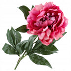 Gałązka Peonia 77cm Ciemny Róż Krem Peonia Piwonia Kwiaty Sztuczne Jak ŻYWE