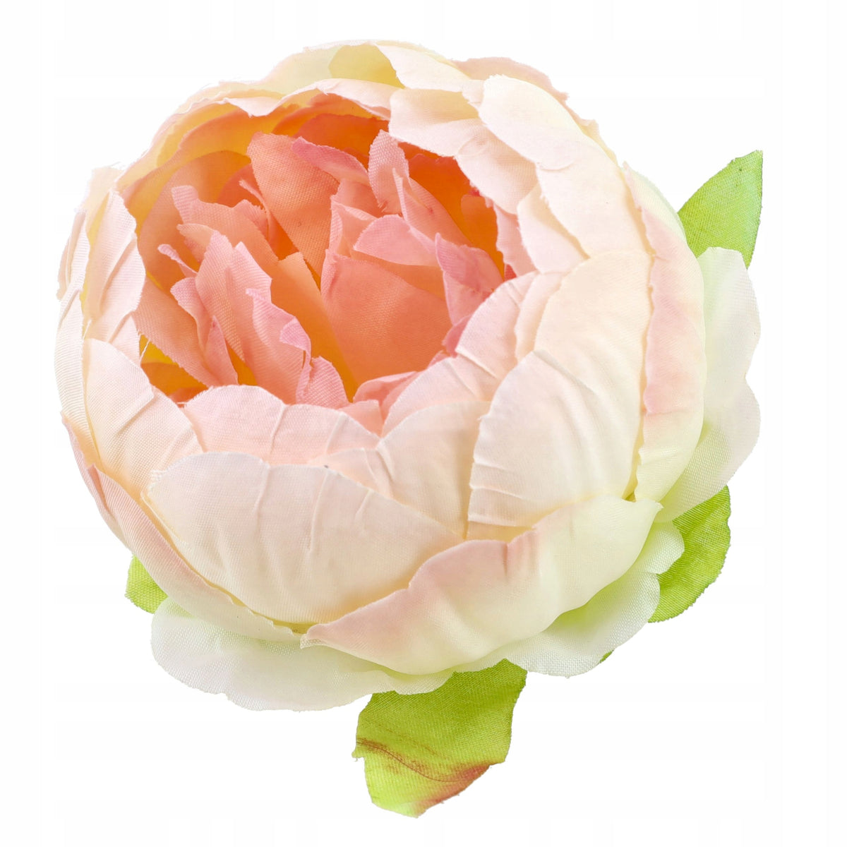 Peonie Piwonie Krem-Łosoś Dekoracyjne Główki Kwiatowe 6szt 8cm Krem-Łosoś