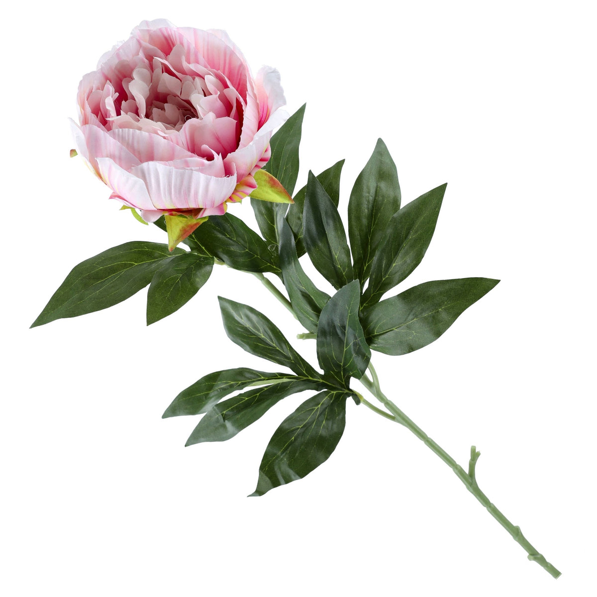 Gałązka Peonia Pudrowy Róż Krem 78cm Piwonia Sztuczna Stroik Wazon Bukiet