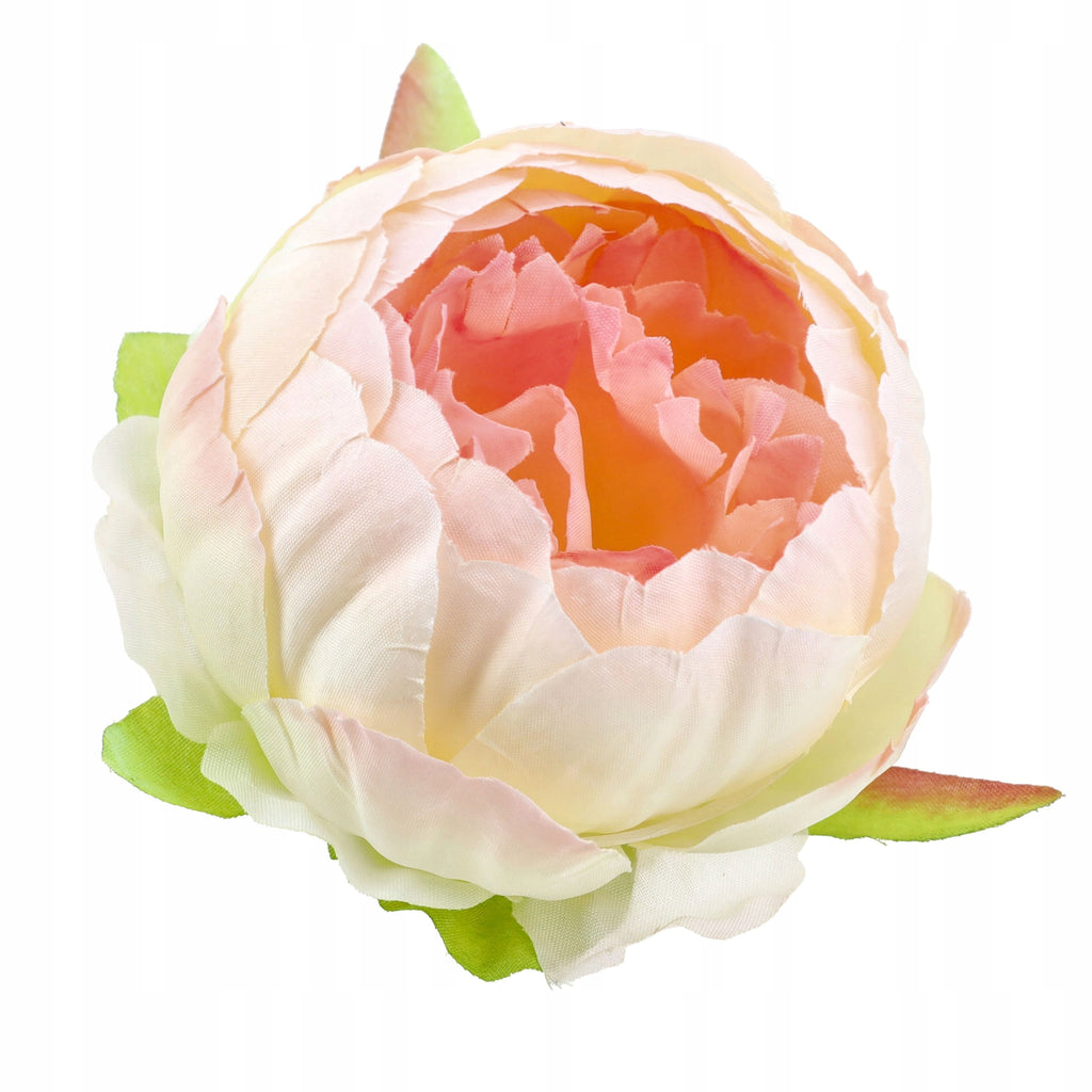 Peonie Piwonie Krem-Łosoś Dekoracyjne Główki Kwiatowe 6szt 8cm Krem-Łosoś