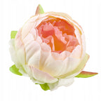Peonie Piwonie Krem-Łosoś Dekoracyjne Główki Kwiatowe 6szt 8cm Krem-Łosoś