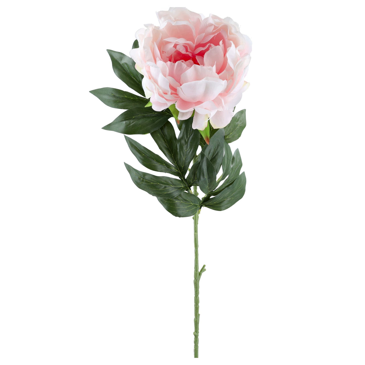 Gałązka Peonia Brzoskwinia 80cm Kwiaty Sztuczne Jak żywe Do Wazonu Bukietu