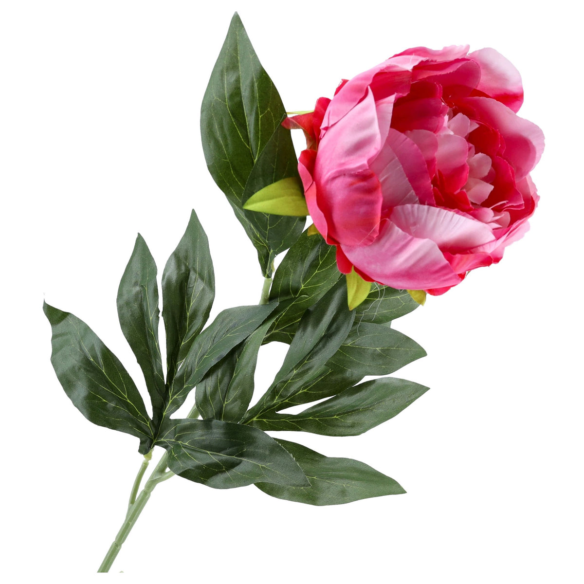 Gałązka Peonia Intensywny Róż Krem 78cm Kwiaty Sztuczne Jak Żywe Bukiet