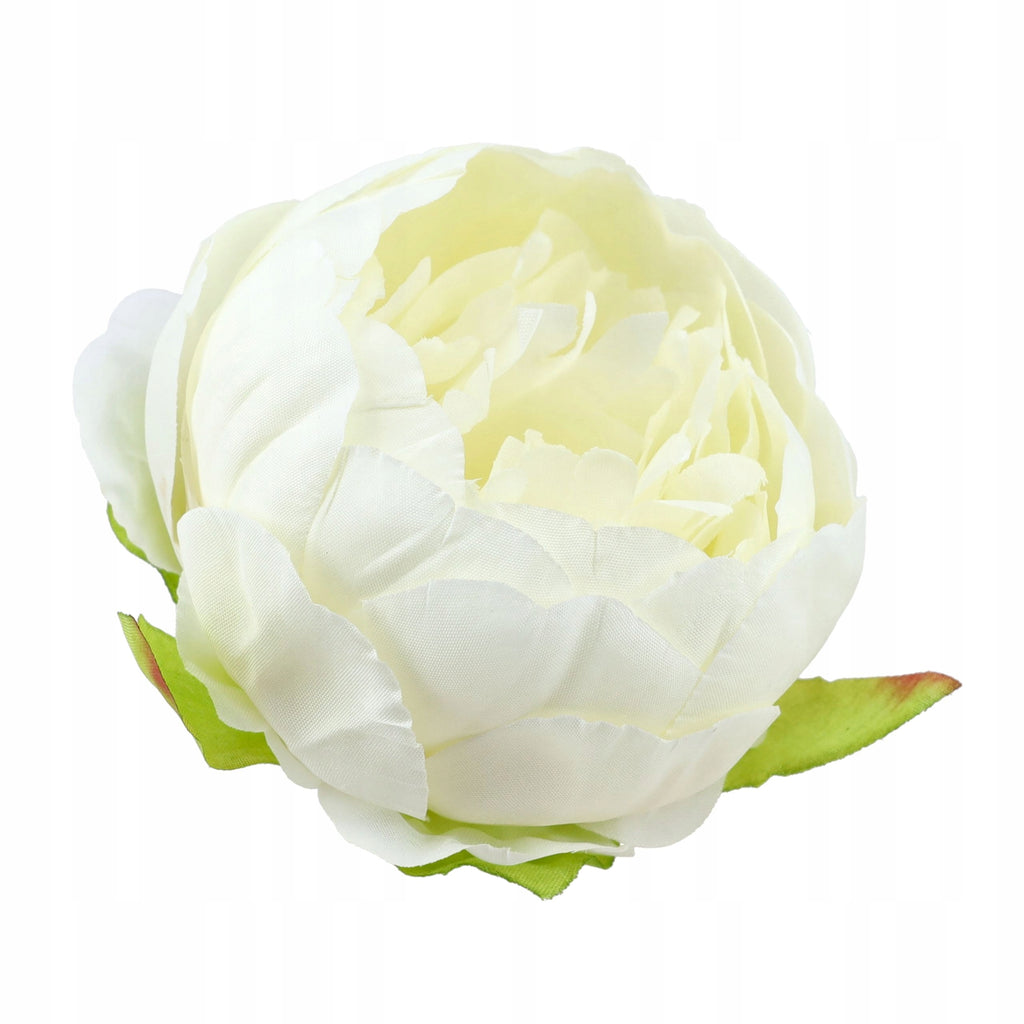 Peonie Piwonie Ecru Główki Kwiatowe Do Kompozycji Do Bukietu 6szt 8cm