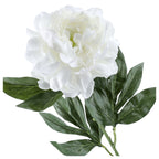 Gałązka Peonia 77cm Biel Piwonia Peonia Kwiaty Sztuczne Jak Żywe Do Wazonu