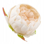 Peonie Krem Brzoskwinia Główki Kwiatów SZTUCZNE KWIATY JAK ŻYWE