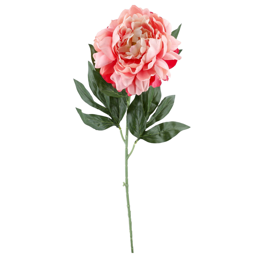 Gałązka Peonia 77cm Brzoskwinia Krem Peonia Piwonia Gałązka Kwiaty Sztuczne