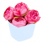 Pudełko Serce Flower Box na Sztuczne Kwiaty Żywe Dekoracje CHRZEST ŚWIĘTY