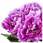 Bukiet SZTUCZNE KWIATY peonii jak żywe 45cm peonia do wazonu piwonia Fiolet