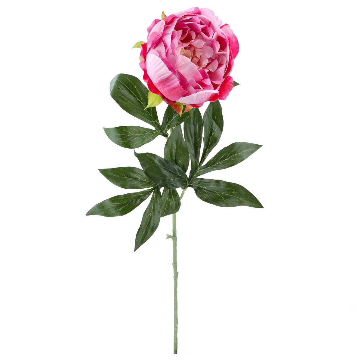 Gałązka Peonia Jasny Róż Krem 78cm PIWONIE SZTUCZNE Kompozycja Stroik