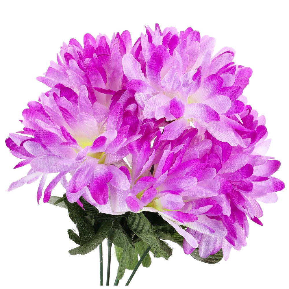 Bukiet Chryzantema Fiolet