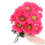 Bukiet Gerbera Amarant