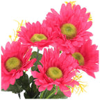 Bukiet Gerbera Amarant