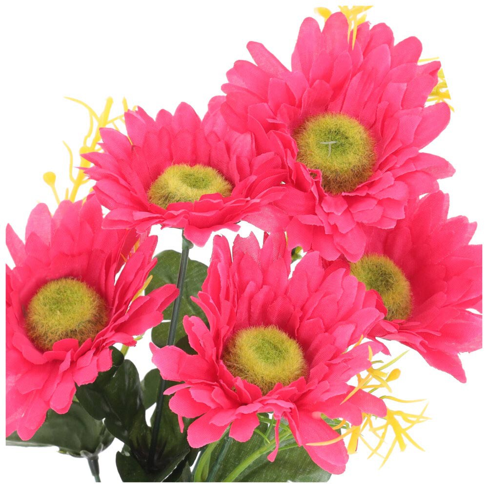 Bukiet Gerbera Amarant