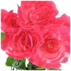 Bukiet Peonia Amarant