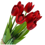Bukiet Tulipanów Bordo KR440E