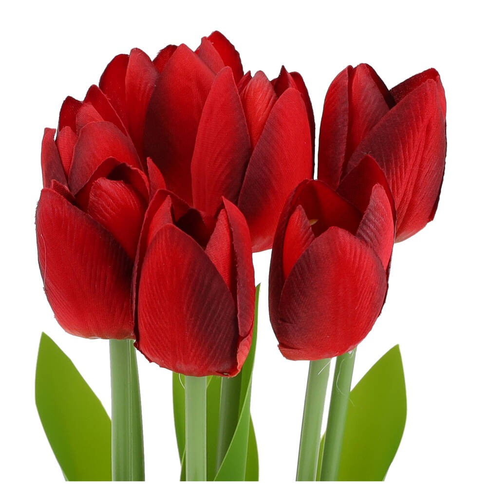 Bukiet Tulipanów Bordo KR440E