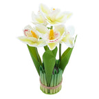 Bukiet Żonkil 5szt KR441A Biel