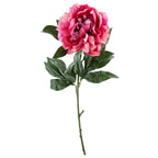 Gałązka Peonia 77cm Ciemny Róż Krem Peonia Piwonia Kwiaty Sztuczne Jak ŻYWE