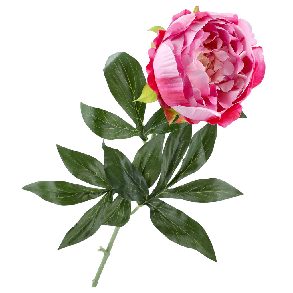Gałązka Peonia Jasny Róż Krem 78cm PIWONIE SZTUCZNE Kompozycja Stroik