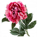 Gałązka Peonia 77cm Ciemny Róż Krem Peonia Piwonia Kwiaty Sztuczne Jak ŻYWE