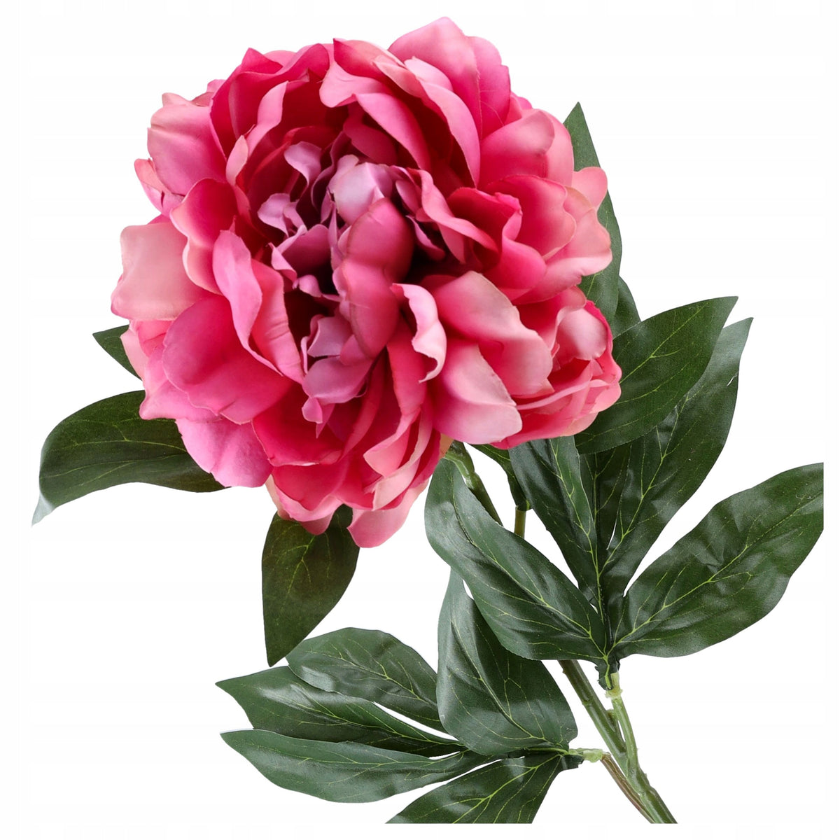 Gałązka Peonia 77cm Ciemny Róż Krem Peonia Piwonia Kwiaty Sztuczne Jak ŻYWE