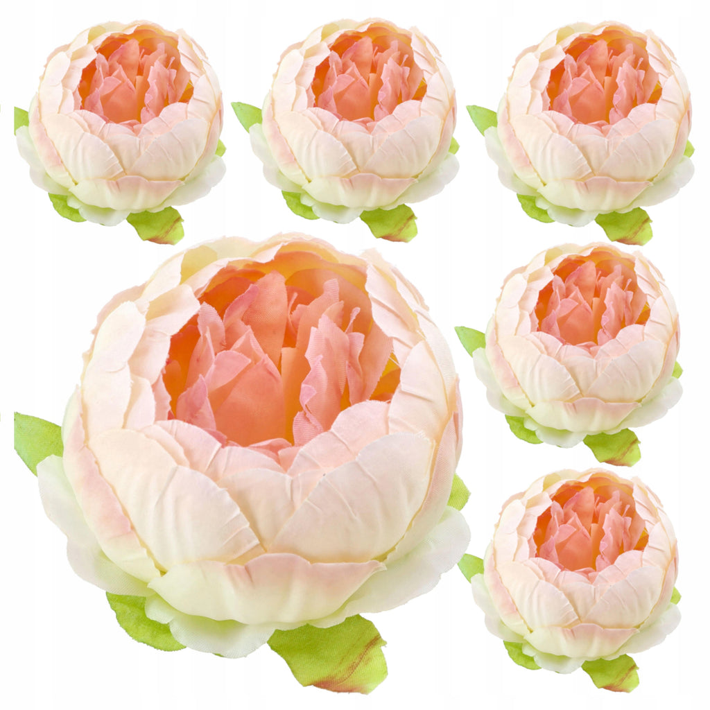 Peonie Piwonie Krem-Łosoś Dekoracyjne Główki Kwiatowe 6szt 8cm Krem-Łosoś