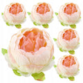 Peonie Piwonie Krem-Łosoś Dekoracyjne Główki Kwiatowe 6szt 8cm Krem-Łosoś
