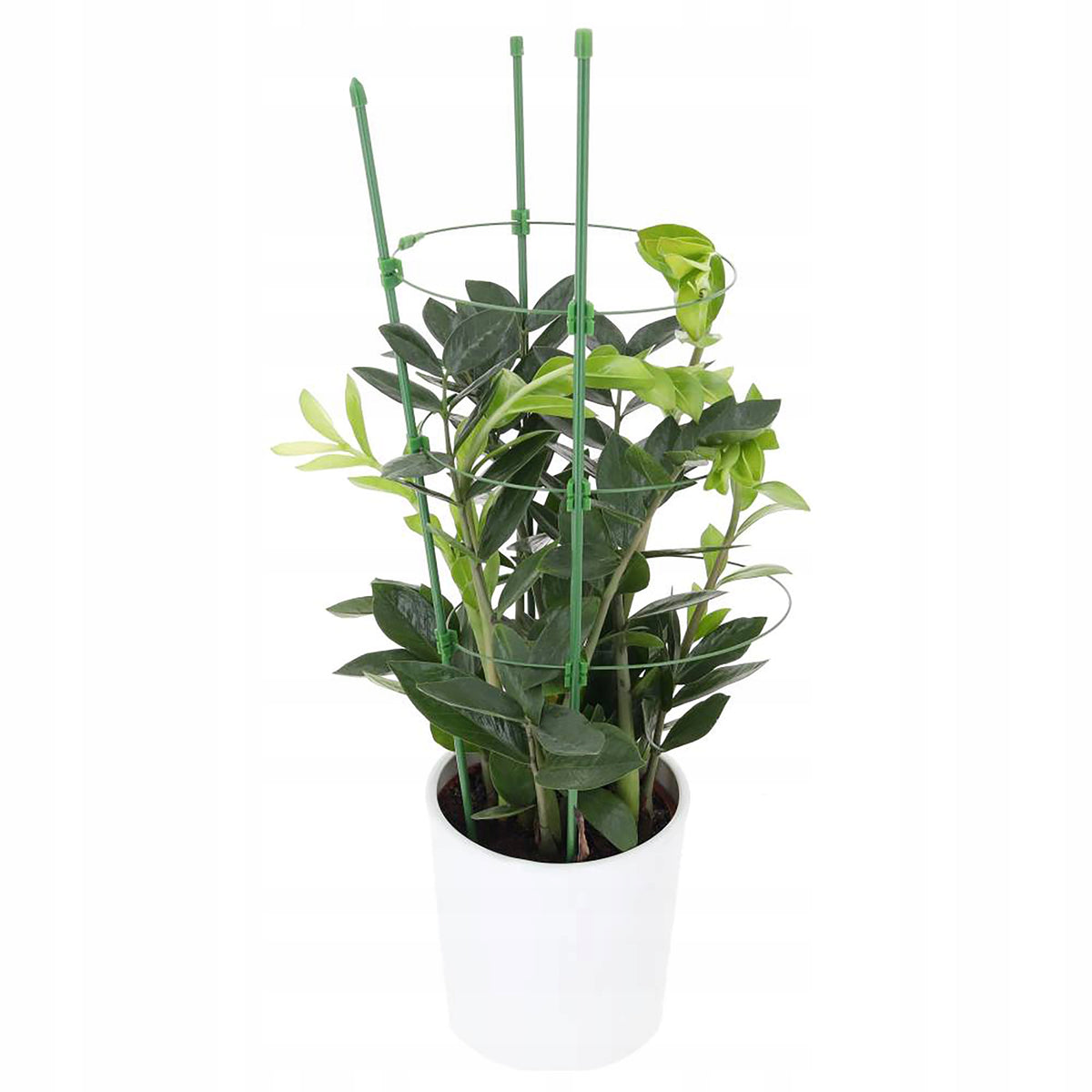 Podpora DO KWIATÓW Roślin Łodyg Podpórka Metalowa 45cm Róż Hortensji
