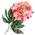 Gałązka Peonia 77cm Brzoskwinia Krem Peonia Piwonia Gałązka Kwiaty Sztuczne