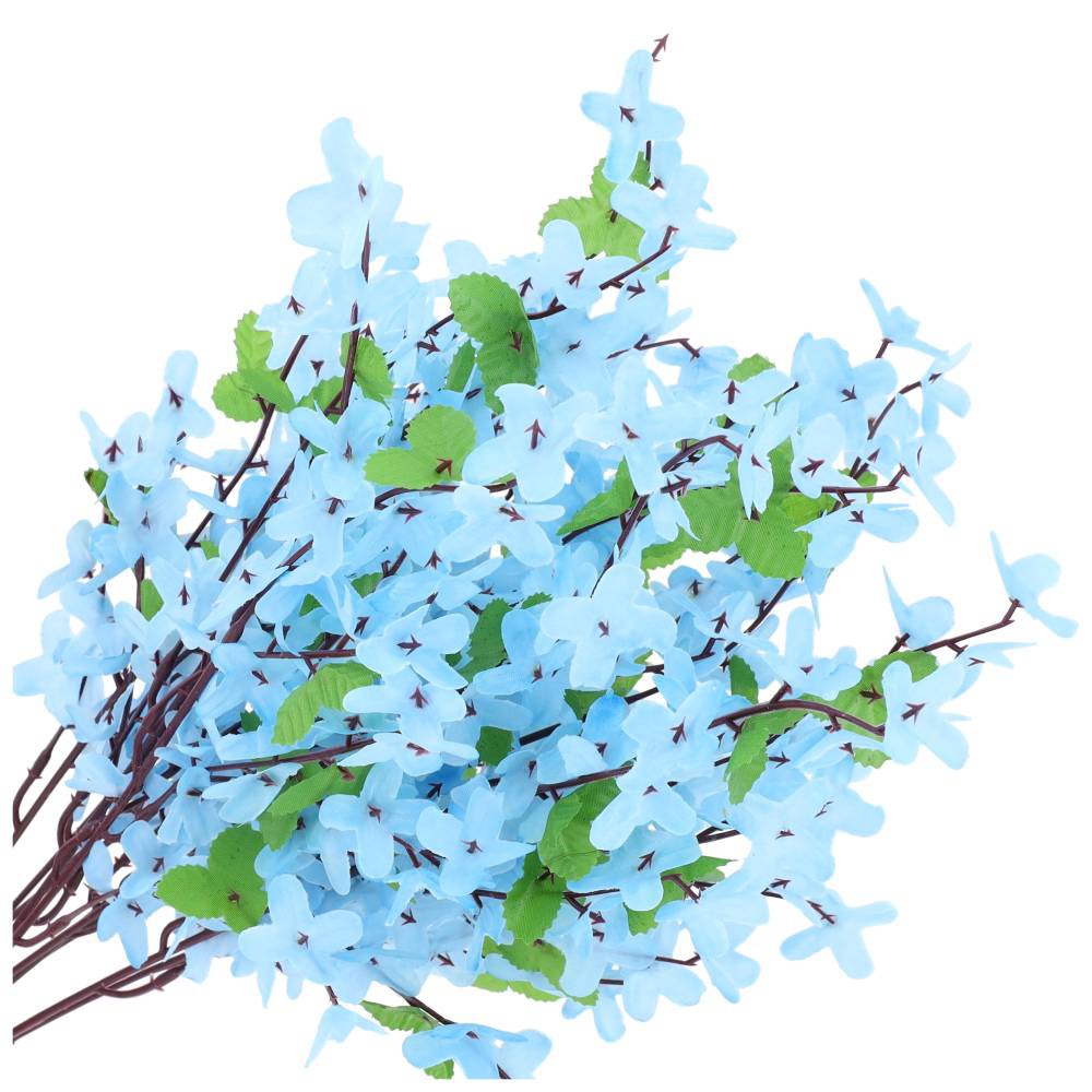 Forsycja Niebieska 10szt