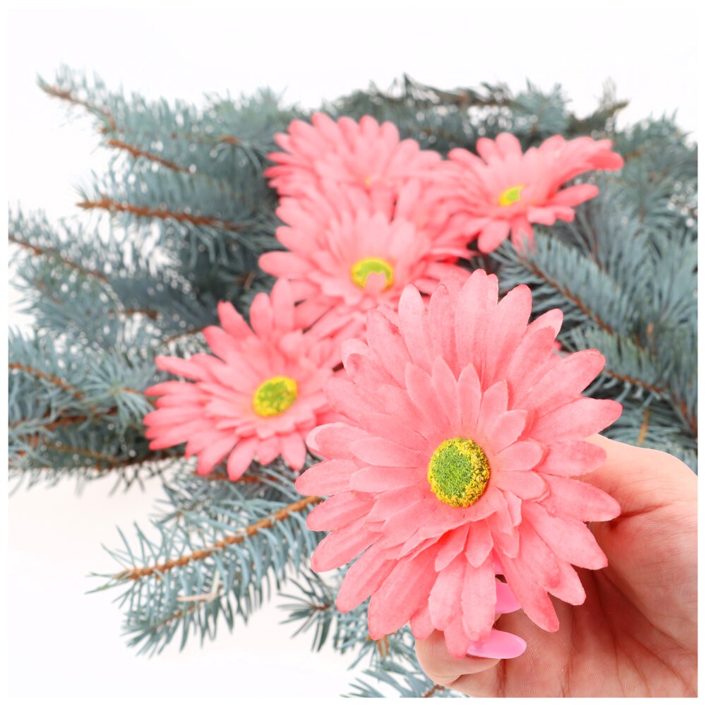 Główka 6szt Gerbera Róż