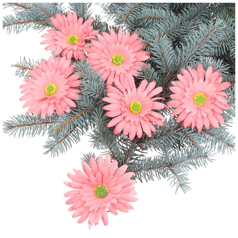 Główka 6szt Gerbera Róż