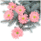 Główka 6szt Gerbera Róż